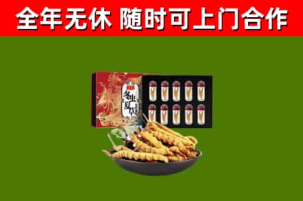 濮阳回收冬虫夏草价格